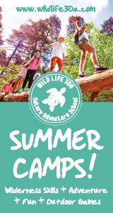 wildlife 30a summer camps